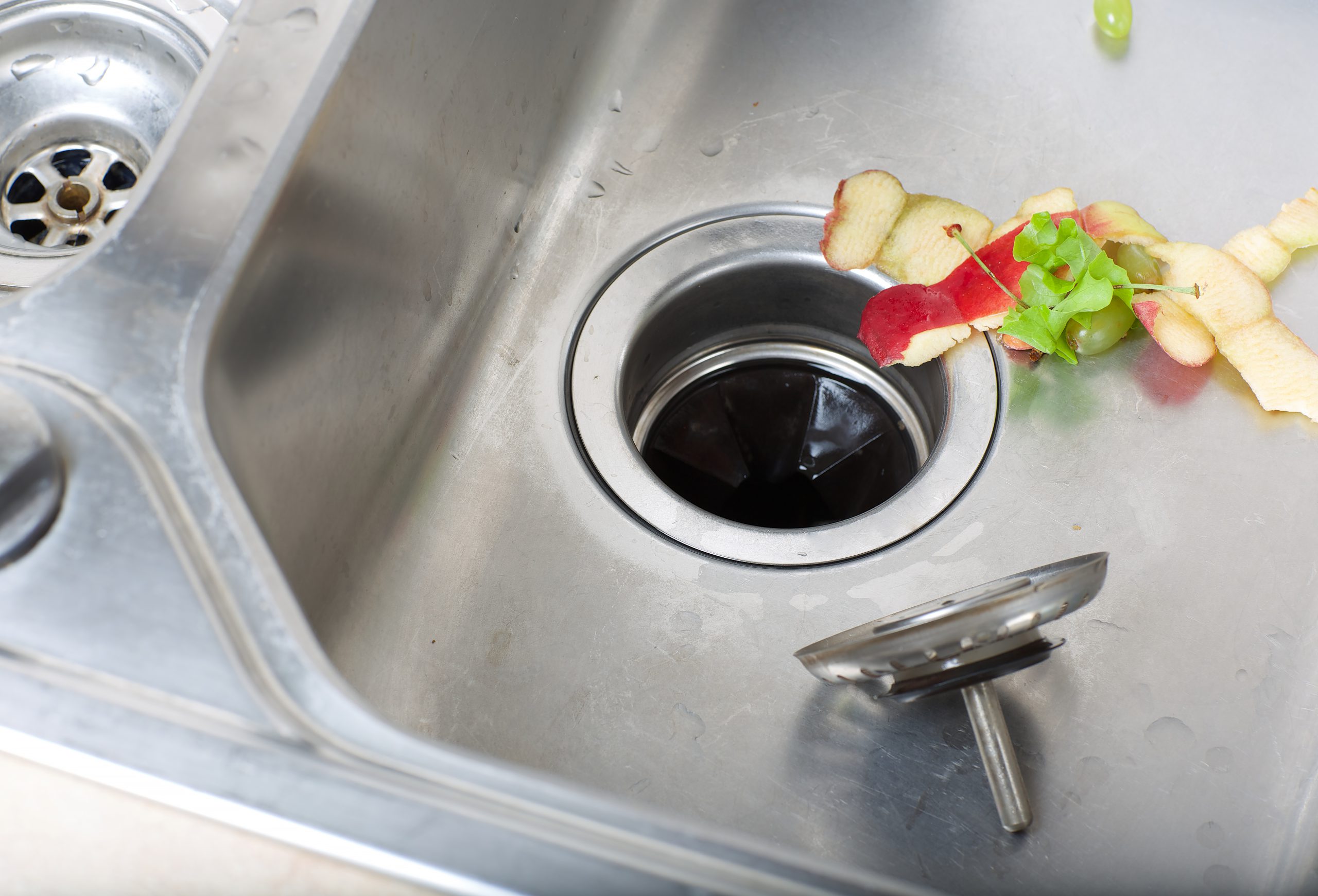 Food waste left in a sink. Closeup